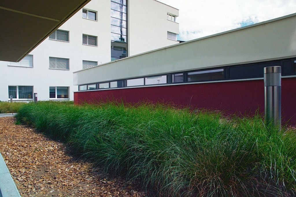 Façade extérieure et abords paysagers du cabinet Siegenthaler Formation à Vevey